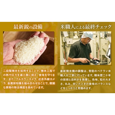 令和7年産 【隔月6回定期便】 こしひかり 5kg 白米 《お申込み翌月から出荷》