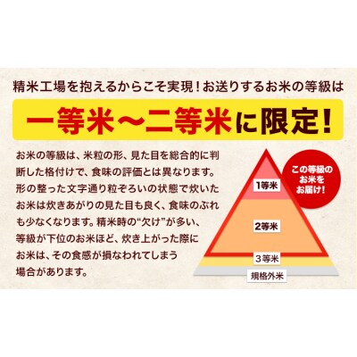 令和7年産 【隔月6回定期便】 こしひかり 20kg 白米 《お申込み翌月から出荷》