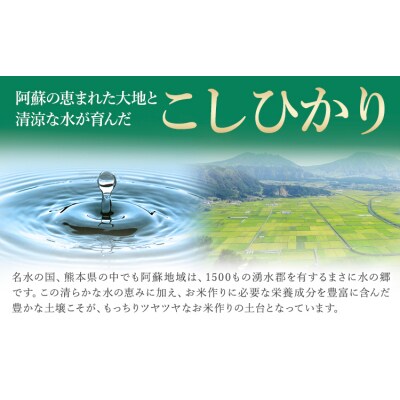 令和7年産 【隔月6回定期便】 こしひかり 20kg 無洗米 《お申込み翌月から出荷》