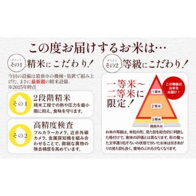 令和7年産 米 無洗米 ひのひかりこしひかり 20kg《7-14日以内に出荷(土日祝除く)》
