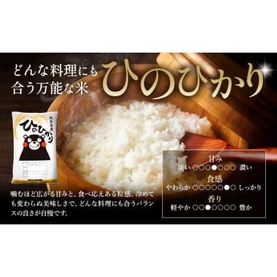 【隔月6回定期便】令和7年産 米 無洗米 ひのひかりこしひかり 20kg《お申込み翌月から出荷》