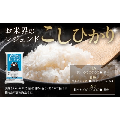 【12ヶ月定期便】米 無洗米 ひのひかりこしひかり 食べ比べ 20kg