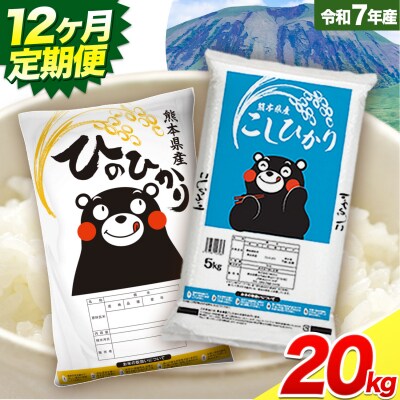 【12ヶ月定期便】米 無洗米 ひのひかりこしひかり 食べ比べ 20kg