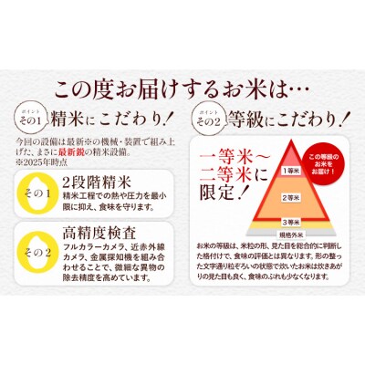 【12ヶ月定期便】米 無洗米 ひのひかりこしひかり 食べ比べ 20kg