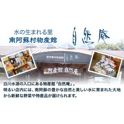 【12ヶ月定期便】ミネラルウォーター 20L×1ケース×6回【2ヶ月ごと】《お申込み翌月から出荷》