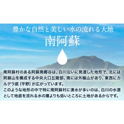 【12ヶ月定期便】ミネラルウォーター 20L×1ケース×6回【2ヶ月ごと】《お申込み翌月から出荷》