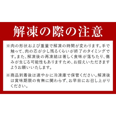 馬刺し 特選 スライス 300g  桜屋 《2027年1月中旬-4月末頃出荷》 