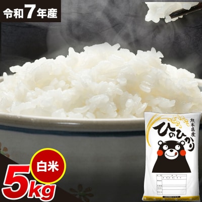 令和7年産 ひのひかり 白米 5kg 《7-14日以内に出荷予定(土日祝除く)》