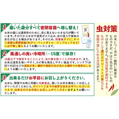令和7年産【12ヶ月定期便】 無洗米 ひのひかり 5kg 5kg×1袋《お申し込みの翌月から出荷》