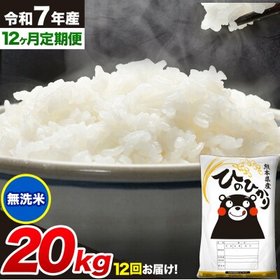 令和7年産【12ヶ月定期便】 無洗米 ひのひかり 20kg 《お申し込みの翌月から出荷》