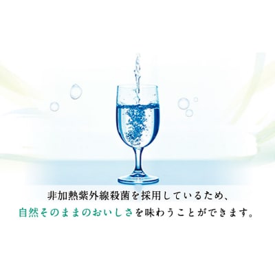 【定期便12ヶ月(2ヶ月ごと発送)】ミネラルウォーター 500ml×24本入《申込み翌月から発送》
