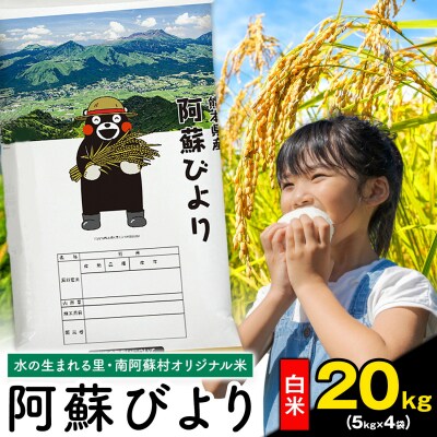 阿蘇びより 白米 20kg (5kg×4袋) 熊本県産 《7-14日以内に出荷(土日祝を除く)》 