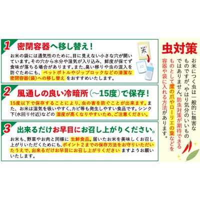 阿蘇びより 無洗米 20kg (5kg×4袋) 熊本県産 《7-14日以内に出荷(土日祝を除く)》