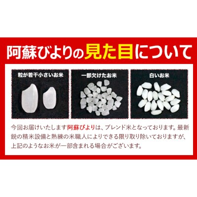 阿蘇びより 無洗米 20kg (5kg×4袋) 熊本県産 《7-14日以内に出荷(土日祝を除く)》