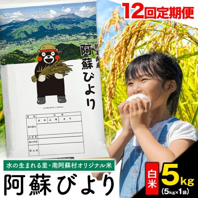 【12ヶ月定期便】阿蘇びより 白米 5kg (5kg×1袋)《お申し込みの翌月から出荷》