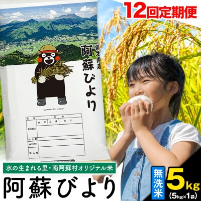 【12ヶ月定期便】阿蘇びより 無洗米 5kg (5kg×1袋)《お申し込みの翌月から出荷》