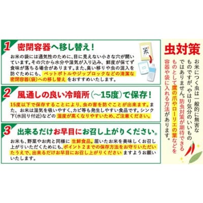【12ヶ月定期便】阿蘇びより 無洗米 5kg (5kg×1袋)《お申し込みの翌月から出荷》