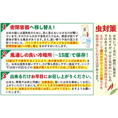 【12ヶ月定期便】阿蘇びより 白米 20kg (5kg×4袋)《お申し込みの翌月から出荷》
