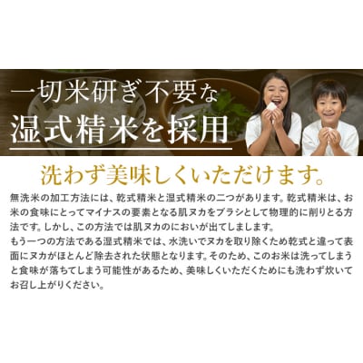 【隔月6回定期便】阿蘇びより 無洗米 5kg (5kg×1袋)《お申込み翌月から出荷》