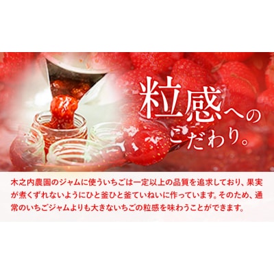 木之内農園 いちごジャム 450g (150g×3本)《30日以内に出荷予定(土日祝を除く)》