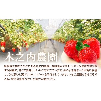 木之内農園 いちごジャム 450g (150g×3本)《30日以内に出荷予定(土日祝を除く)》