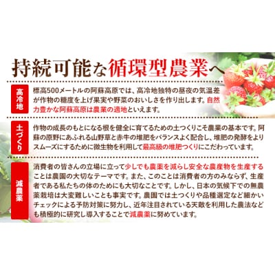 木之内農園 いちごジャム 450g (150g×3本)《30日以内に出荷予定(土日祝を除く)》