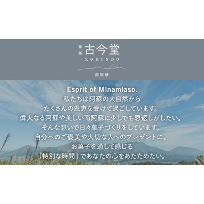 濃厚生チーズケーキ 1592 ヒゴクニ 6個入り 古今堂 《30日以内に出荷予定(土日祝除く)》 