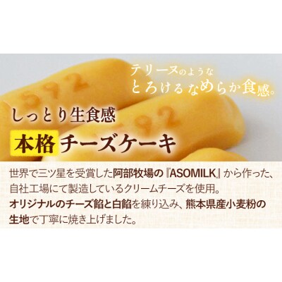 濃厚生チーズケーキ 1592 ヒゴクニ 6個入り 古今堂 《30日以内に出荷予定(土日祝除く)》 