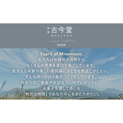 濃厚生チーズケーキ 1592 ヒゴクニ 10個入り  《30日以内に出荷予定(土日祝除く)》 