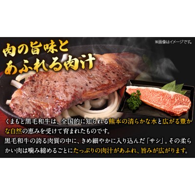 くまもと黒毛和牛 サーロインステーキ 250g  《30日以内に出荷予定(土日祝除く)》