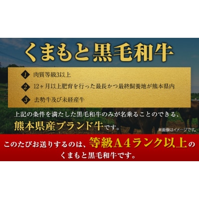 くまもと黒毛和牛 リブロースステーキ 250g 《30日以内に出荷予定(土日祝除く)》