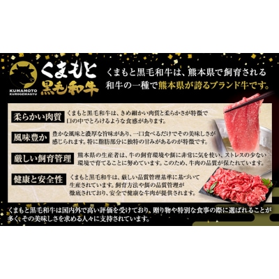 くまもと黒毛和牛 特上 スライス ウデ・モモ 500g 《30日以内に出荷予定(土日祝除く)》