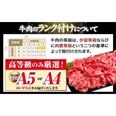くまもと黒毛和牛 特上 スライス ウデ・モモ 1000g 《30日以内に出荷予定(土日祝除く)》