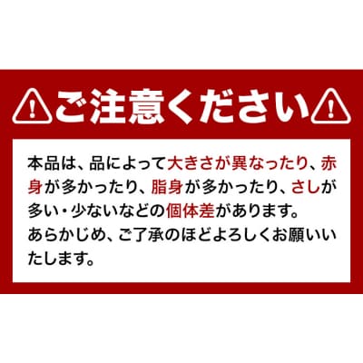馬ひも 馬刺し用 320g (80g×4袋) 《30日以内に出荷予定(土日祝除く)》