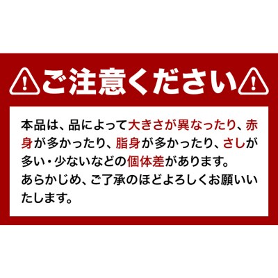 馬ひも 馬刺し用 320g (80g×4袋) 《30日以内に出荷予定(土日祝除く)》