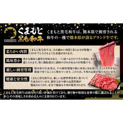 くまもと黒毛和牛 特上切り落とし ウデ・モモ 1500g《30日以内に出荷予定(土日祝除く)》