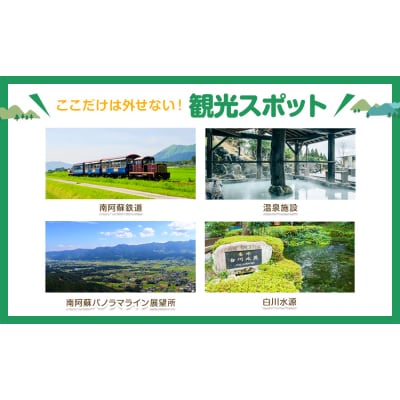 熊本県 南阿蘇村 地域限定旅行クーポン 15,000円《寄付翌月末を目途に付与いたします》