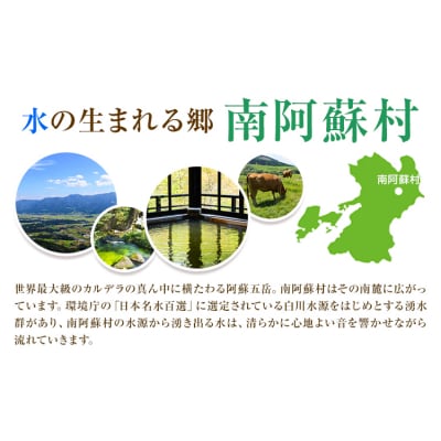 熊本県 南阿蘇村 地域限定旅行クーポン 90,000円《寄付翌月末を目途に付与いたします》
