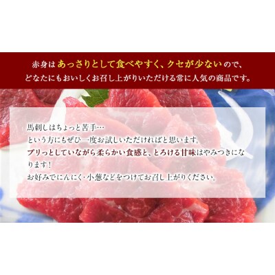 国産上赤身馬刺し 500g 南阿蘇L(阿蘇牧場) 醤油付き《2027年1月中旬-4月末頃出荷》