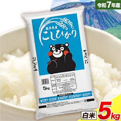 令和7年産 こしひかり 白米  5kg白米 《7-14日以内に出荷予定(土日祝除く)》