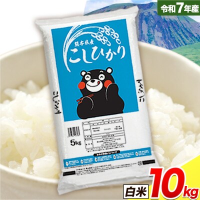 令和7年産 こしひかり 白米  10kg白米 《7-14日以内に出荷予定(土日祝除く)》