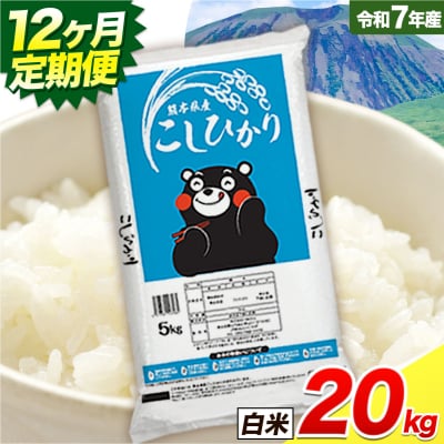 【12ヶ月定期便】こしひかり 白米 20kg 精米 《お申し込みの翌月から出荷》