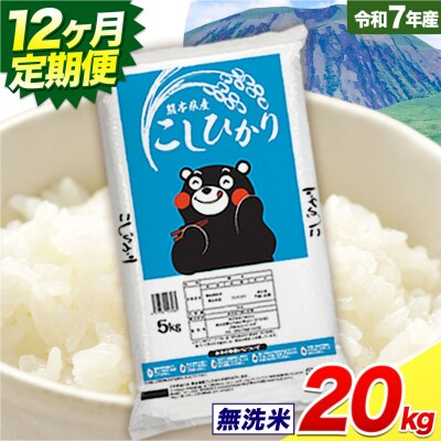 【12ヶ月定期便】こしひかり 無洗米 20kg 《お申し込みの翌月から出荷》
