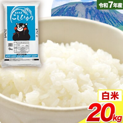 令和7年産 こしひかり 白米  20kg 白米 《7-14日以内に出荷予定(土日祝除く)》