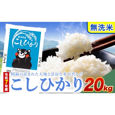 令和7年産 こしひかり 無洗米  20kg 精米 《7-14日以内に出荷予定(土日祝除く)》