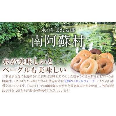 ベーグルセット 7種 10個入 ベーグル・ワン《30日以内に出荷予定(土日祝除く)》