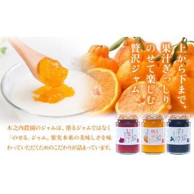 木之内農園 ジャム　3種食べ比べセット 150g×3本 《30日以内に出荷予定(土日祝を除く)》 