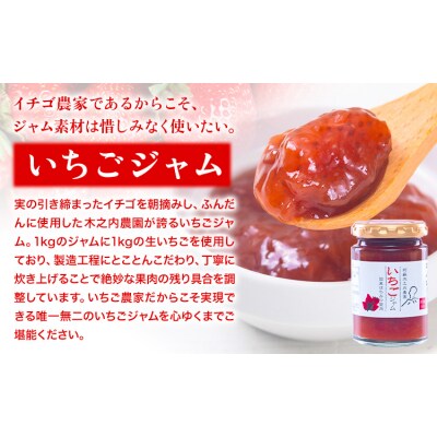 木之内農園 ジャム　3種食べ比べセット 150g×3本 《30日以内に出荷予定(土日祝を除く)》 