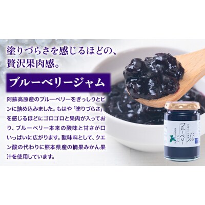 木之内農園 ジャム　3種食べ比べセット 150g×3本 《30日以内に出荷予定(土日祝を除く)》 
