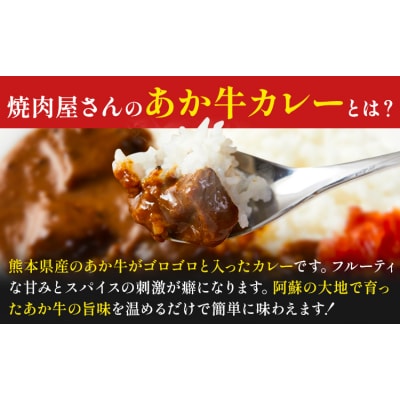 焼肉屋さんのあか牛カレー 600g (200g×3食) 《30日以内に出荷予定(土日祝除く)》 